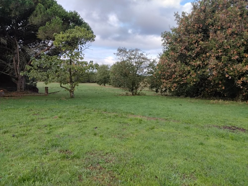 Aire camping-car  Montjoire (31380) - Photo 3